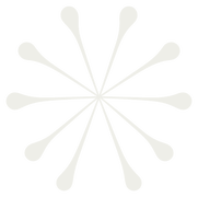 Allium